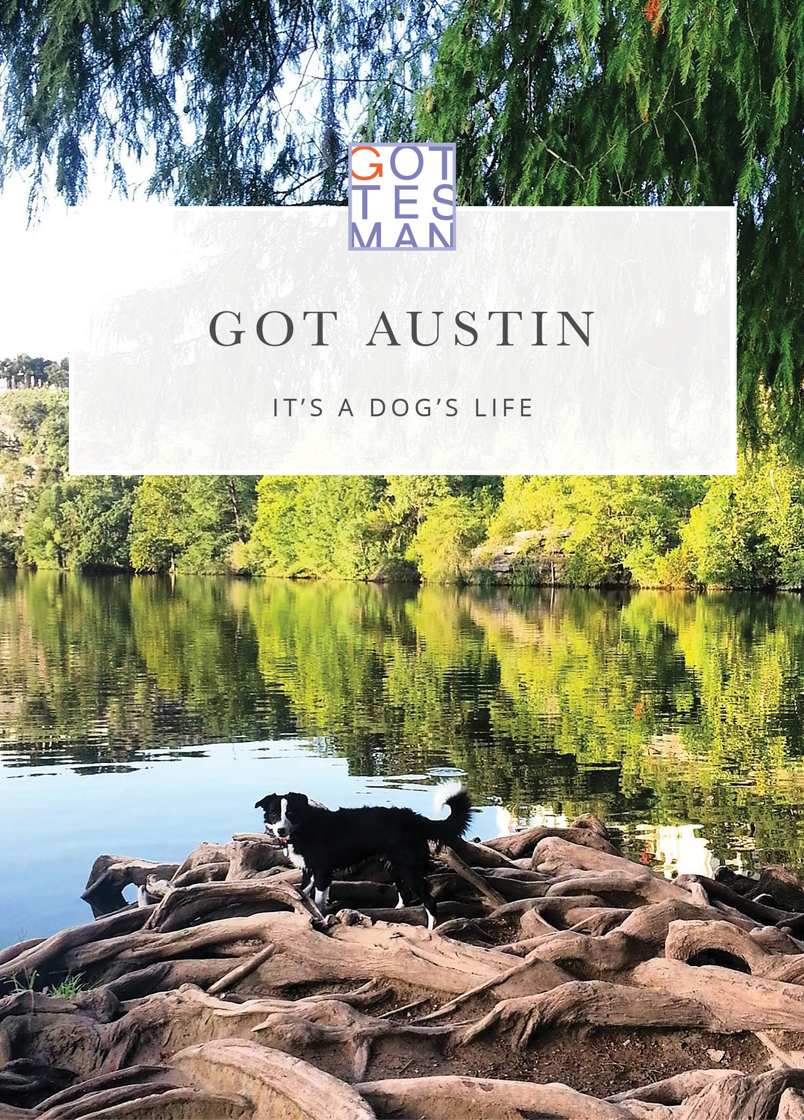 Dog by the water with text overlay, "Got Austin: It's a Dog's Life"